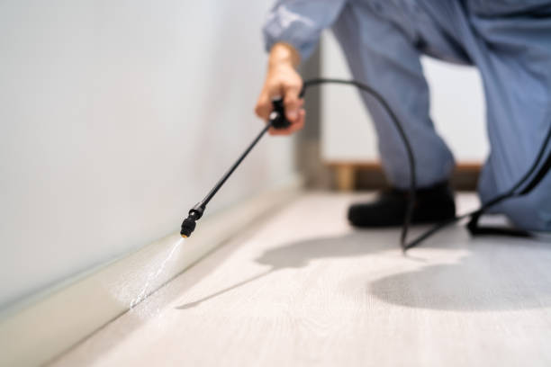 Bed Bug Pre-Treatment Preparation Assessment in Clifton