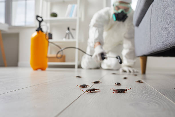 Post-Treatment Bed Bug Interceptor Monitoring in Clifton
