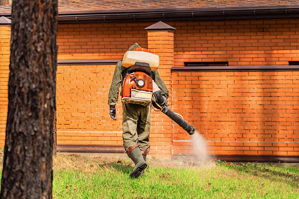 Bed Bug Clearance Verification and Documentation in Clifton